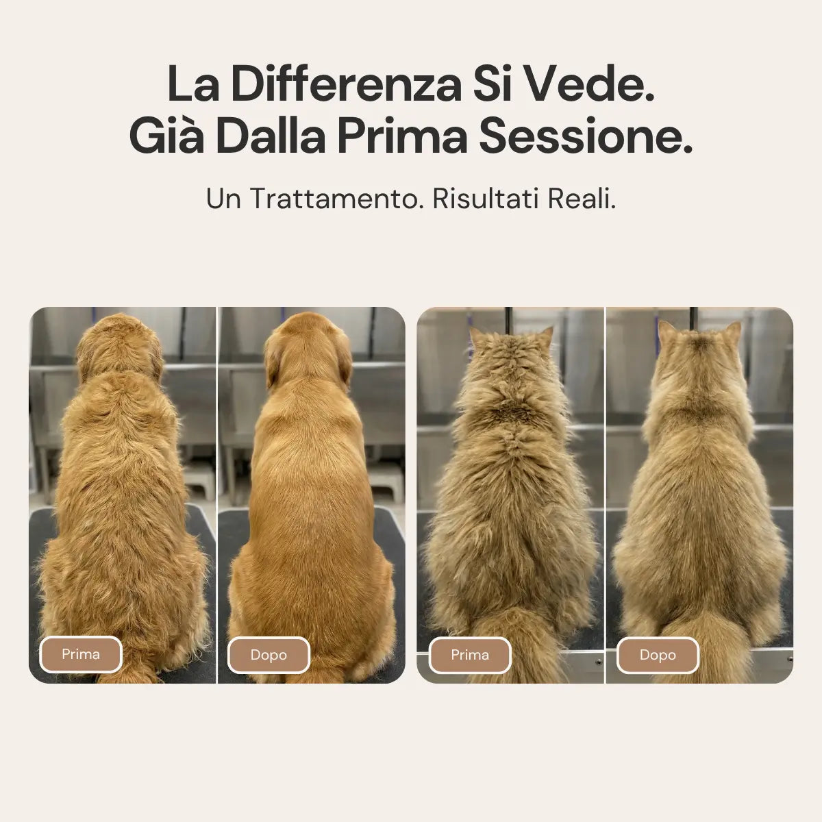 MistyPaws™ | Spazzola a Vapore Delicato