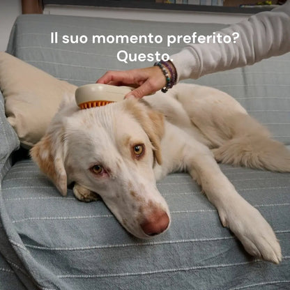 MistyPaws™ | Spazzola a Vapore Delicato