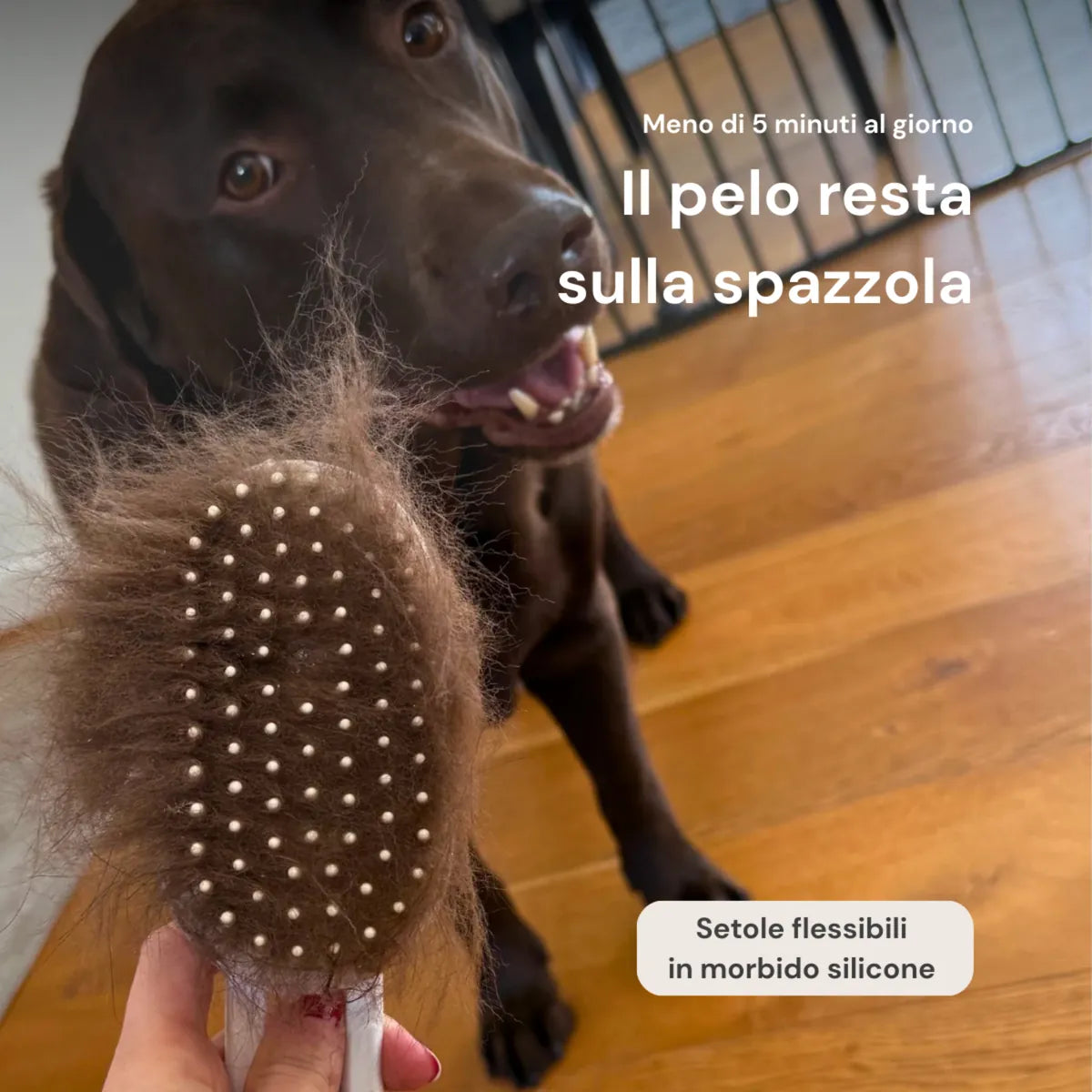 Spazzola MistyPaws™